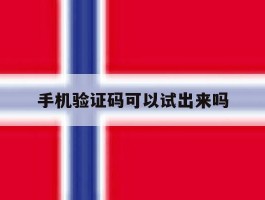 手机验证码可以试出来吗