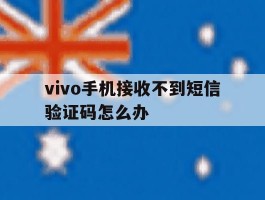 vivo手机接收不到短信验证码怎么办