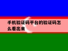 手机验证码平台的验证码怎么看出来