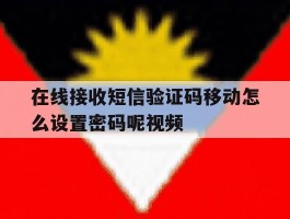 在线接收短信验证码移动怎么设置密码呢视频