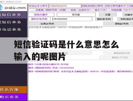 短信验证码是什么意思怎么输入的呢图片