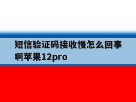 短信验证码接收慢怎么回事啊苹果12pro