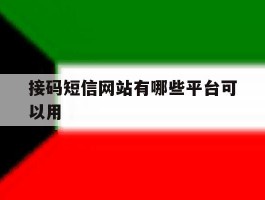 接码短信网站有哪些平台可以用