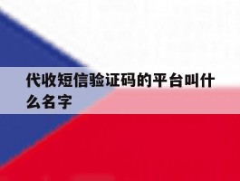 代收短信验证码的平台叫什么名字