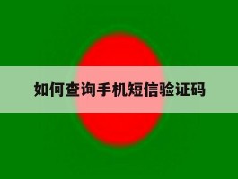 如何查询手机短信验证码