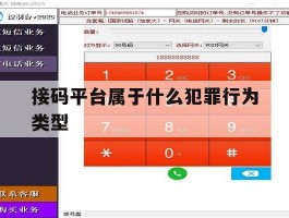 接码平台属于什么犯罪行为类型