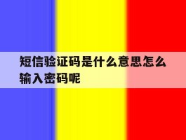 短信验证码是什么意思怎么输入密码呢