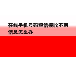 在线手机号码短信接收不到信息怎么办
