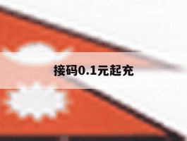 接码0.1元起充