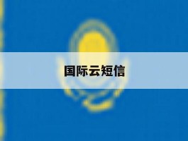 国际云短信