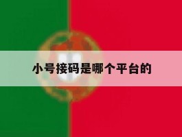 小号接码是哪个平台的