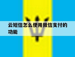 云短信怎么使用微信支付的功能