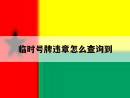 临时号牌违章怎么查询到