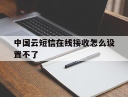 中国云短信在线接收怎么设置不了