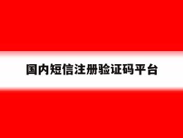 国内短信注册验证码平台