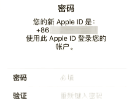 无法接收短信验证码是怎么回事啊苹果