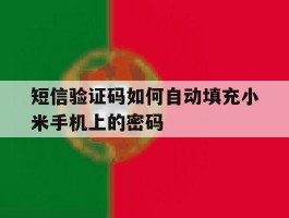 短信验证码如何自动填充小米手机上的密码