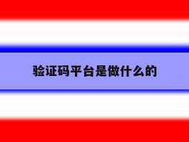 验证码平台是做什么的