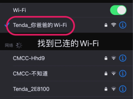 接收验证码的虚拟手机号怎么设置密码呢