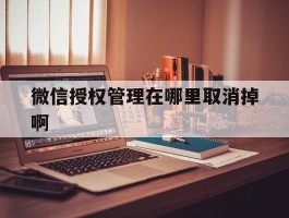 微信授权管理在哪里取消掉啊