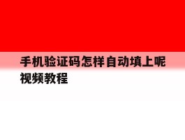 手机验证码怎样自动填上呢视频教程