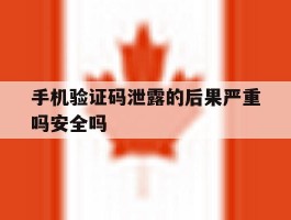 手机验证码泄露的后果严重吗安全吗