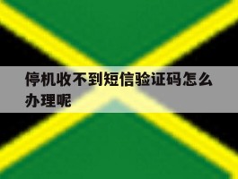 停机收不到短信验证码怎么办理呢