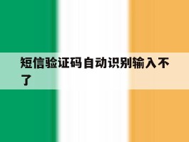 短信验证码自动识别输入不了