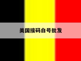 美国接码白号批发