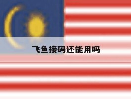 飞鱼接码还能用吗