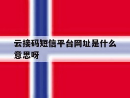 包含云接码短信平台网址是什么意思呀的词条
