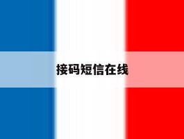 接码短信在线