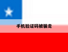 手机验证码被骗走