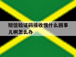 短信验证码接收慢什么回事儿啊怎么办