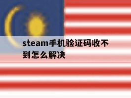 steam手机验证码收不到怎么解决