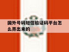 国外号码短信验证码平台怎么弄出来的