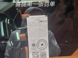 临时号牌会不会被拍到车上违章