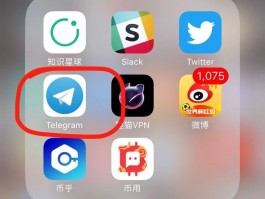 国外短信接收网站有哪些软件