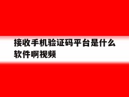 接收手机验证码平台是什么软件啊视频