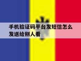 手机验证码平台发短信怎么发送给别人看