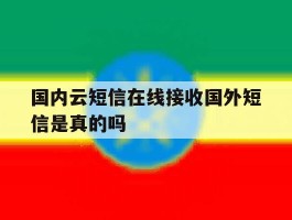 国内云短信在线接收国外短信是真的吗
