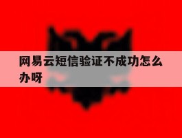 网易云短信验证不成功怎么办呀