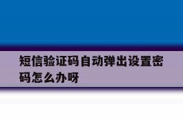 包含短信验证码自动弹出设置密码怎么办呀的词条