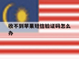 收不到苹果短信验证码怎么办