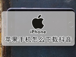微信授权限制登不了抖音怎么办呢苹果