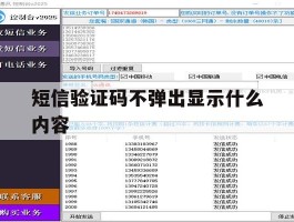 短信验证码不弹出显示什么内容