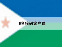 飞鱼接码客户端