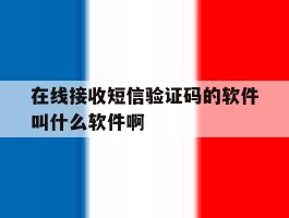 在线接收短信验证码的软件叫什么软件啊
