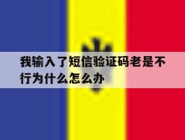 我输入了短信验证码老是不行为什么怎么办