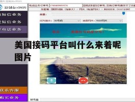 美国接码平台叫什么来着呢图片